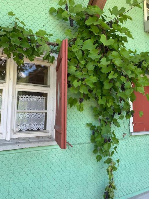 Allgaeu Cottage - Traumhafter Blick In Die Schweizer Berge Вайлер-Зиммерберг Экстерьер фото