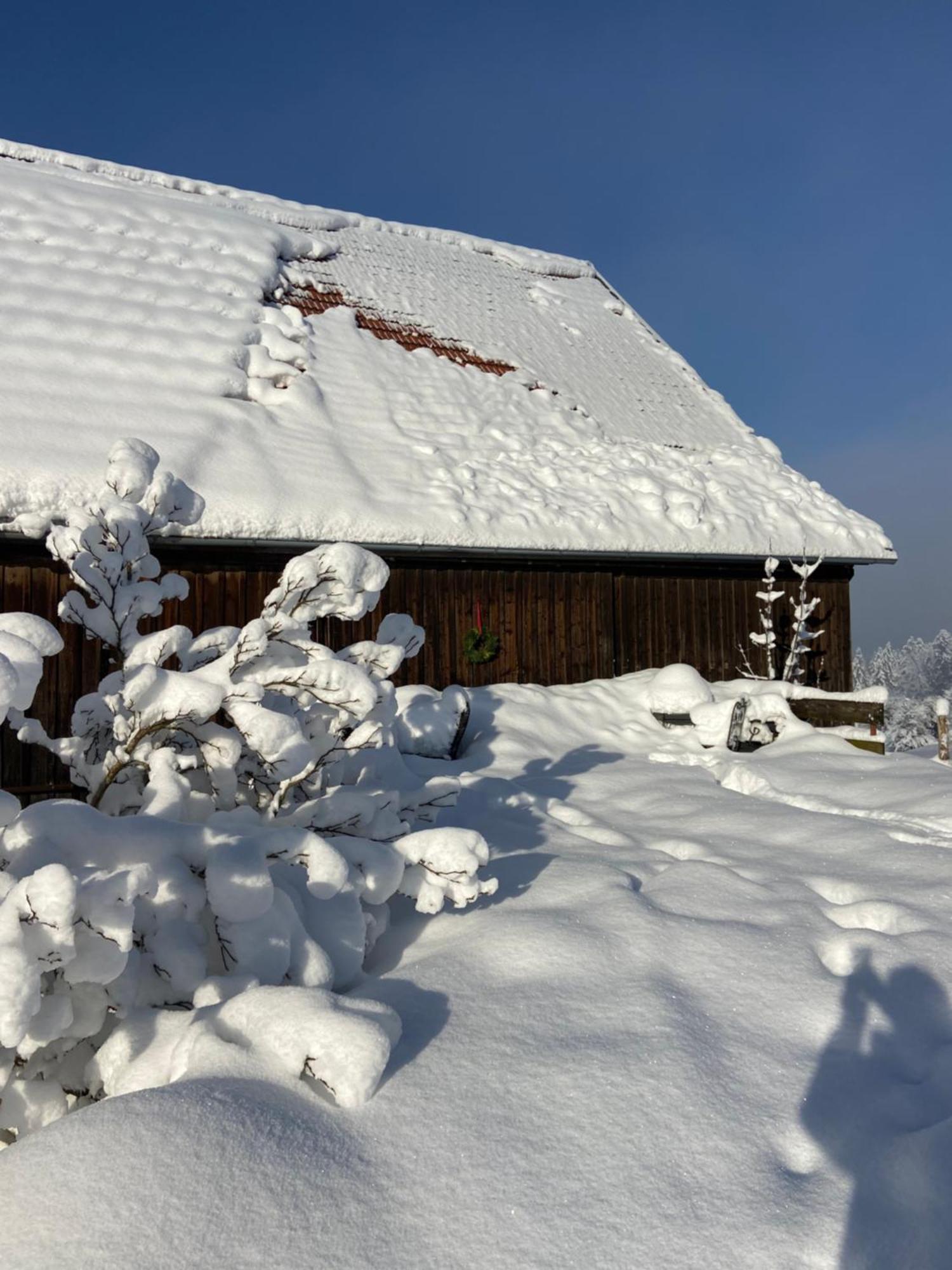 Allgaeu Cottage - Traumhafter Blick In Die Schweizer Berge Вайлер-Зиммерберг Экстерьер фото